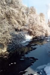 тимофеева001